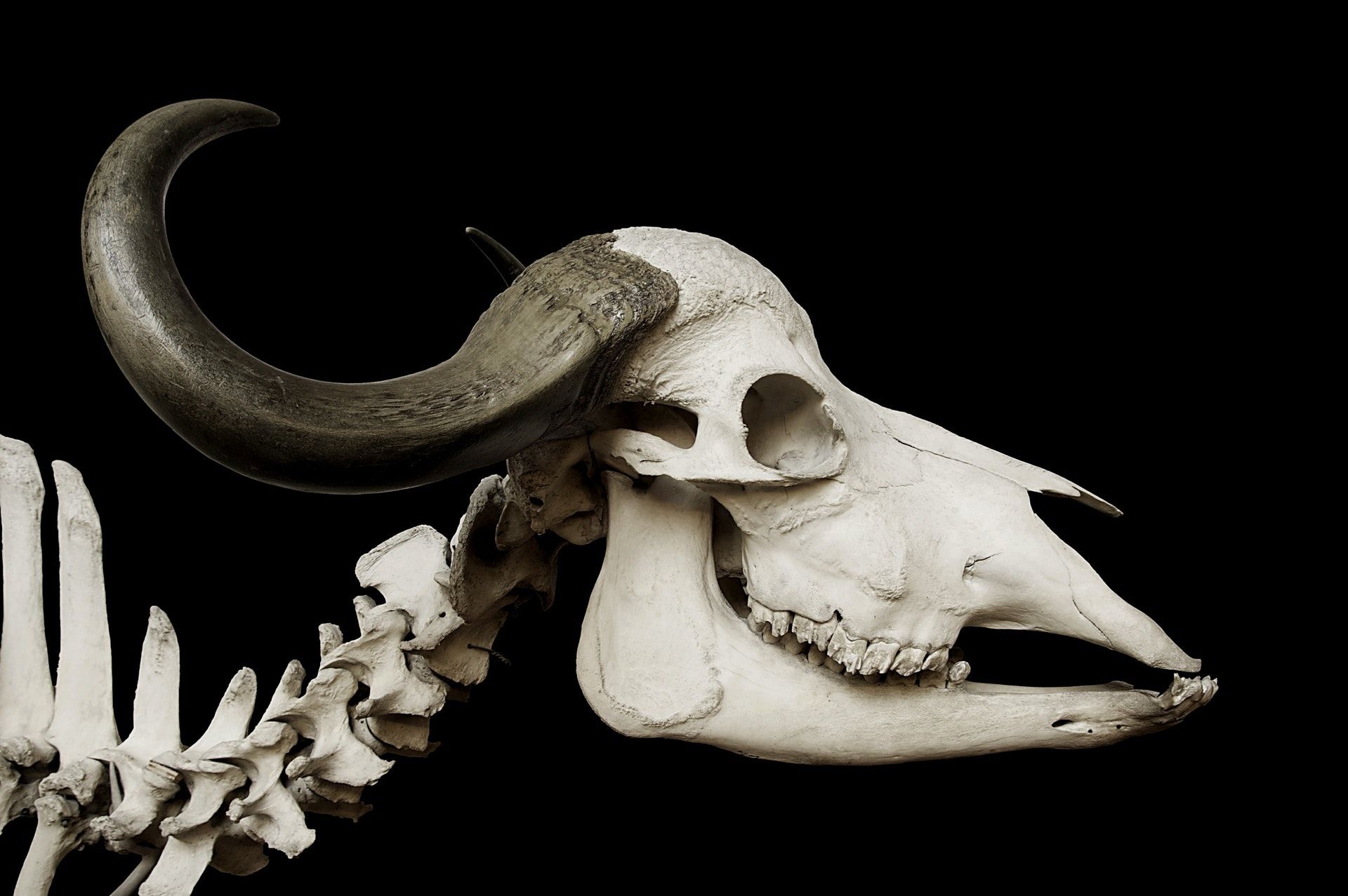 The Deadly Mistake That Kills Too Many Startups