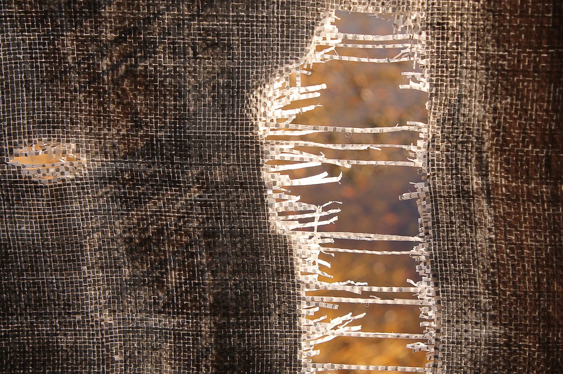 Friday Q & A: How to Avoid Getting Overwhelmed by All of the Advice on the Internet, Spending Money on Advertising, and Biggest Challenges of Remote Startups link_text: Friday Q & A: Avoiding Getting Overwhelmed and more