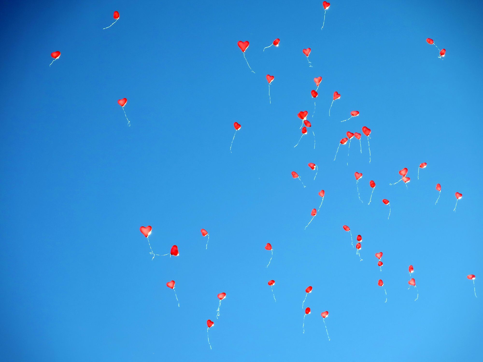 Friday Q&A: How Do You Celebrate Successes as a Remote Team?
