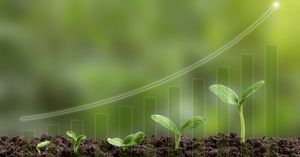 The Fundamentals of Support Driven Growth