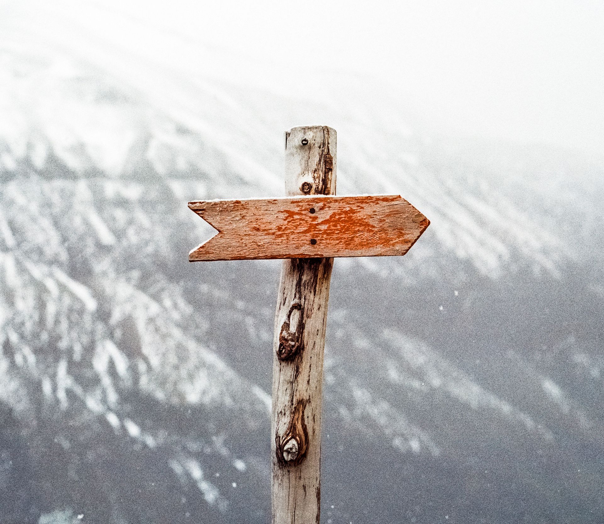 The Simple Test That Increased Our Referrals by 30%