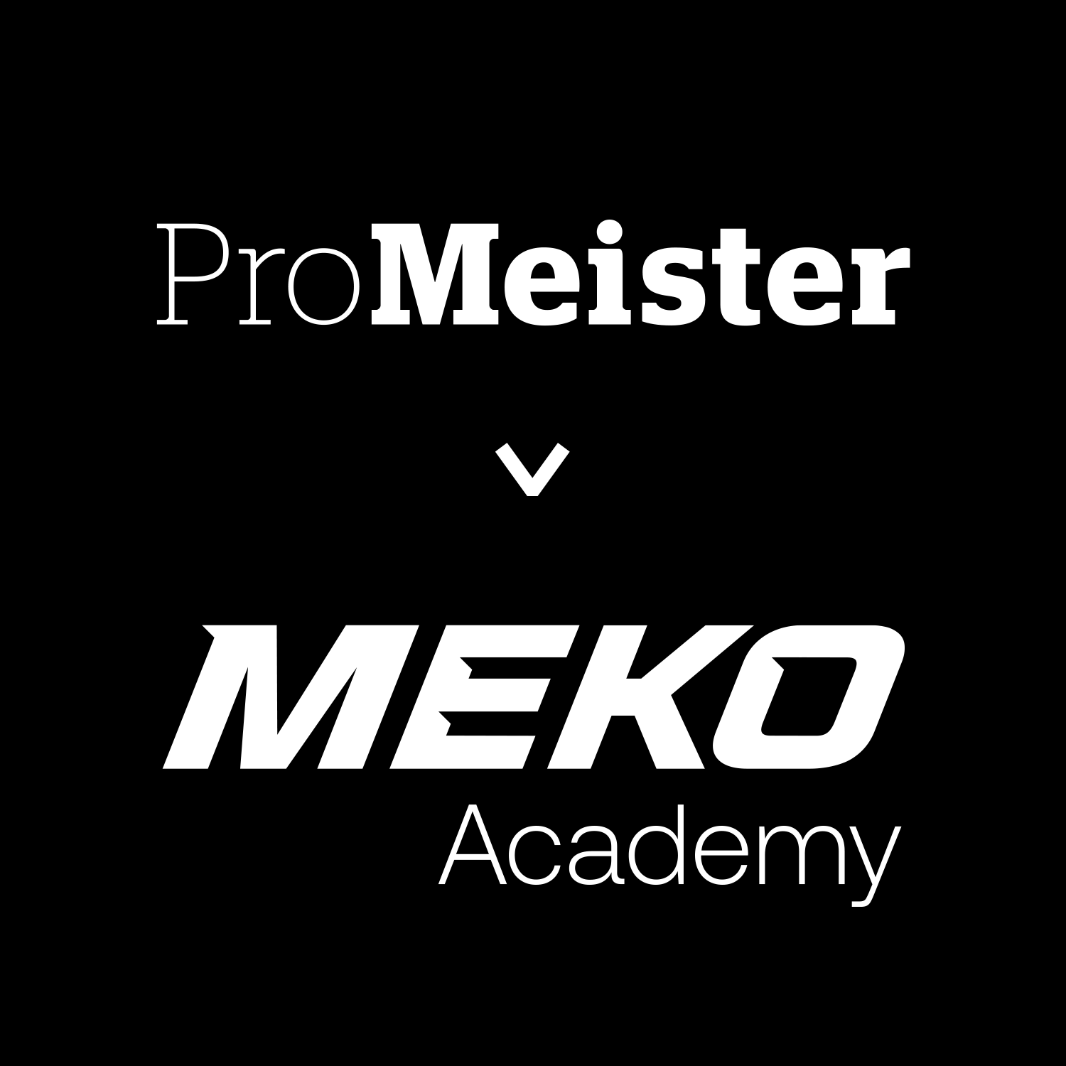 elev mekar under en bil