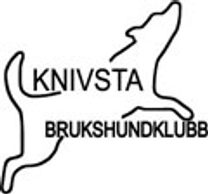 Knivsta BK logo