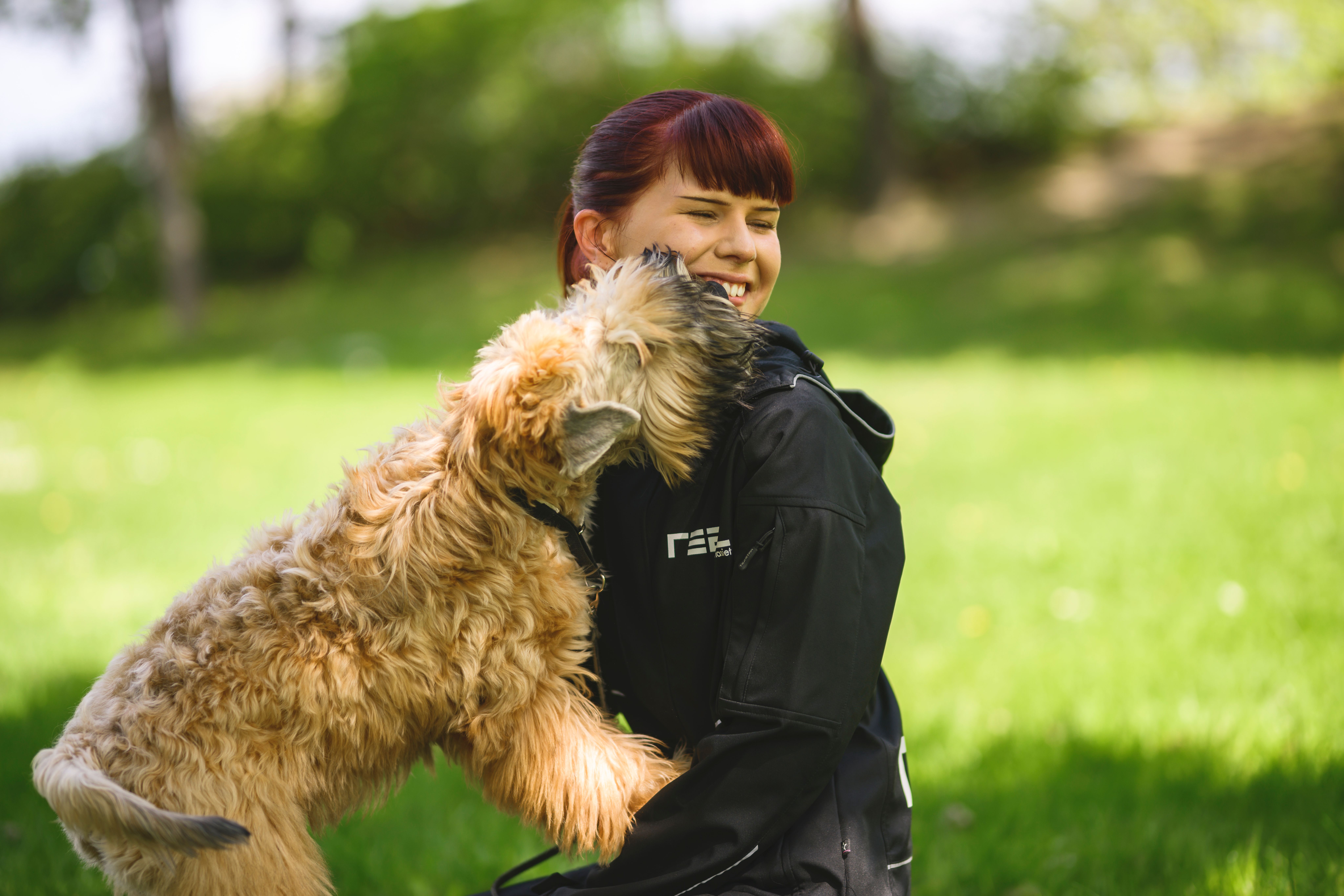 realgymnasiet elev blir pussad av en hundvalp