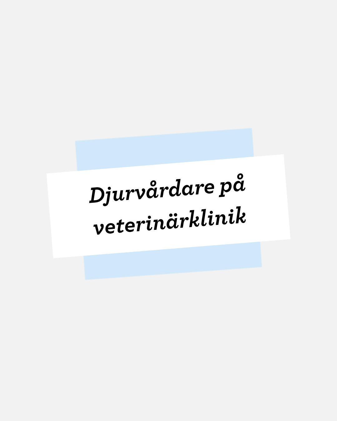 djurvårdare PÅ VETERINÄRKLINIK
