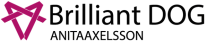 Brilliant DOG