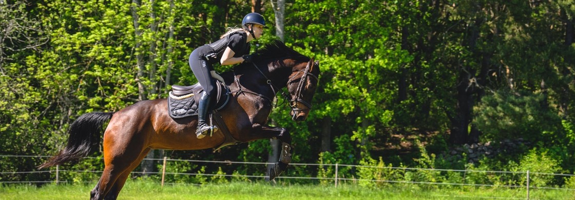 Elev hoppar med häst
