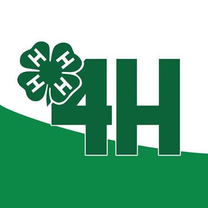 Växjö 4H