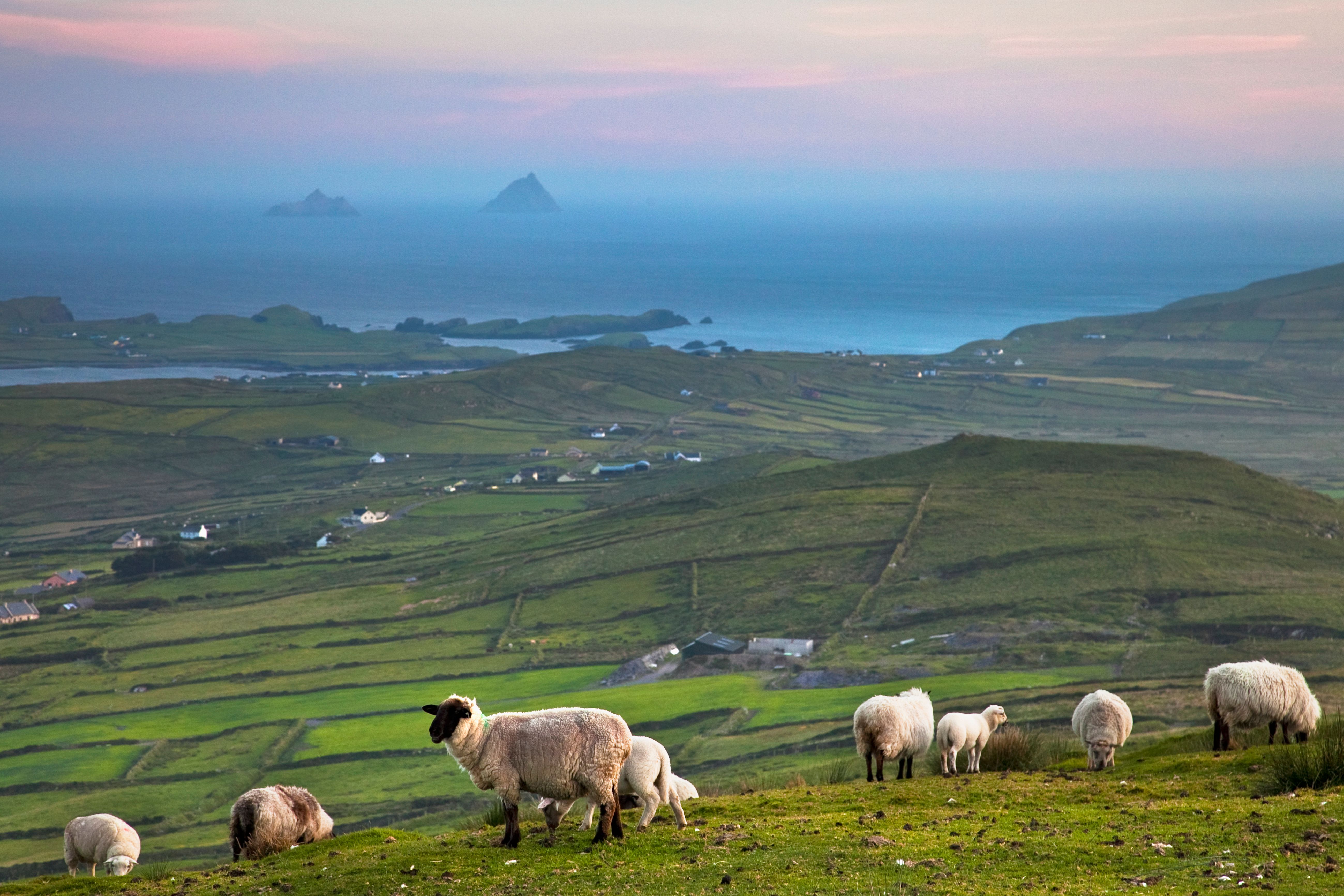Irland