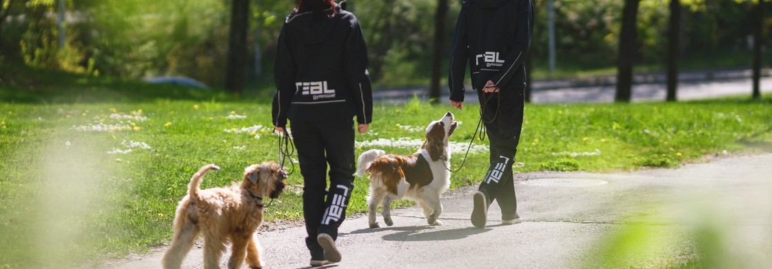 elever är ute och går med hundar