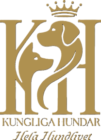 kungliga hundar