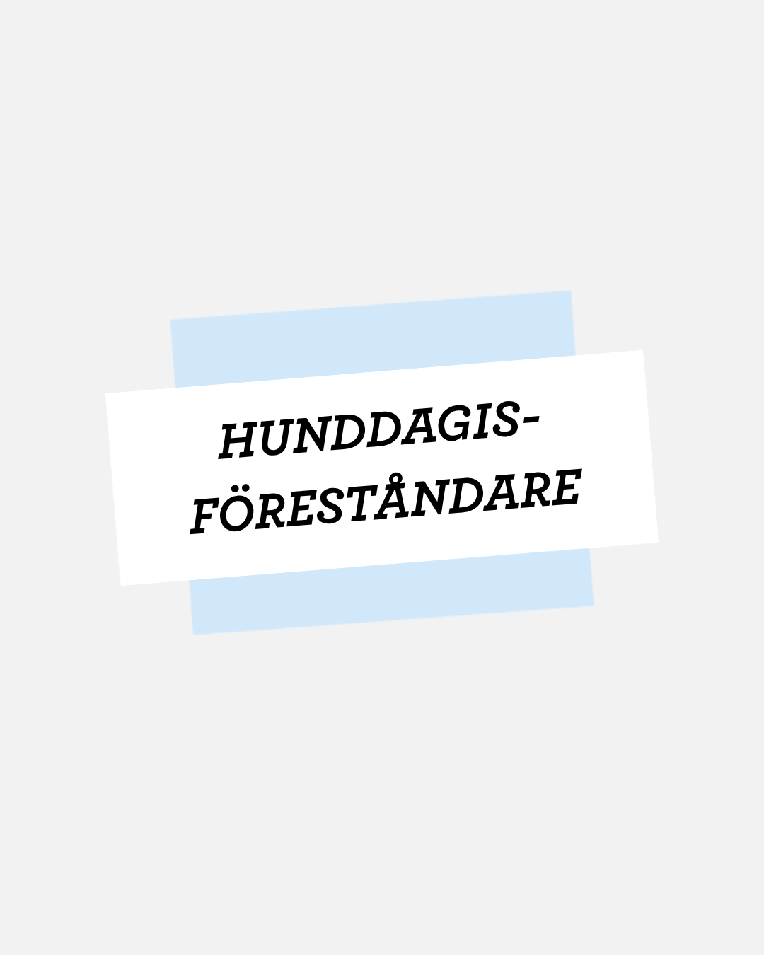 hunddagis föreståndare
