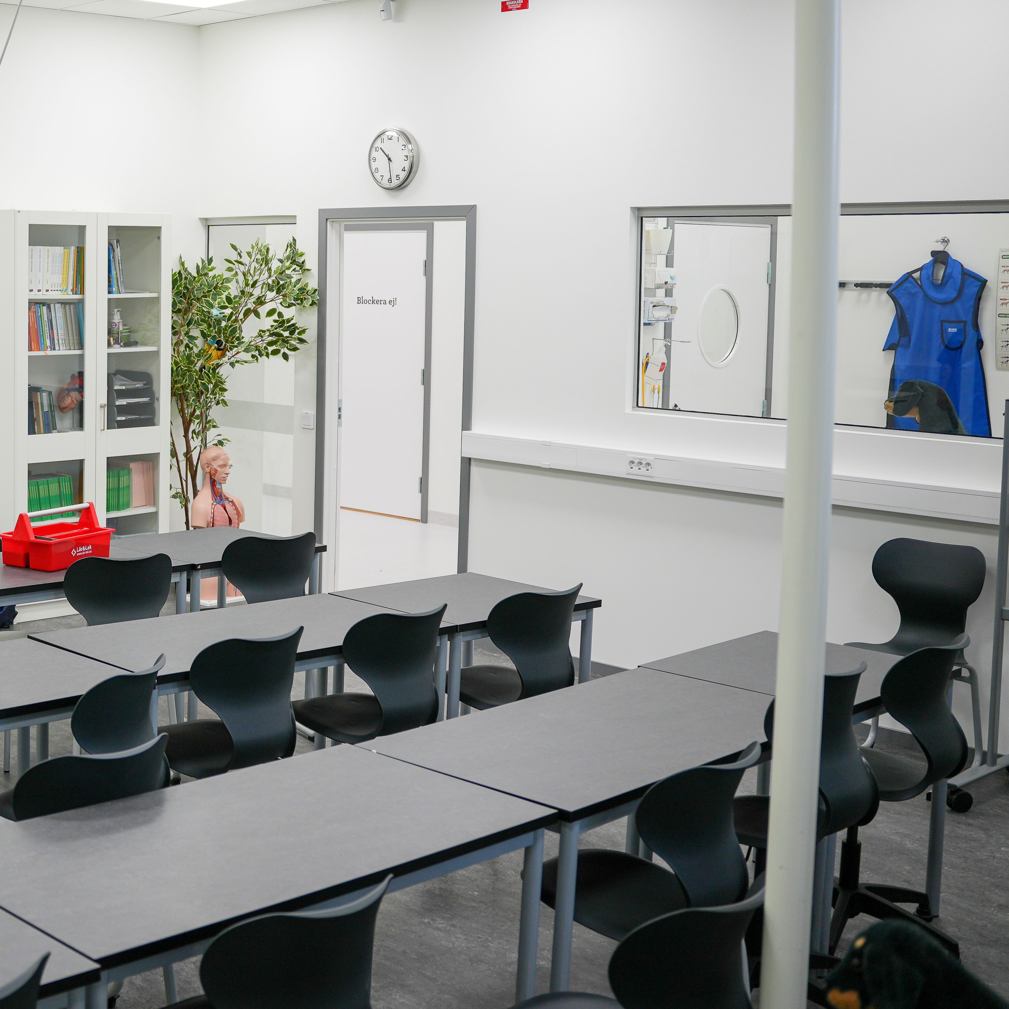 Realgymnasiet Stockholm