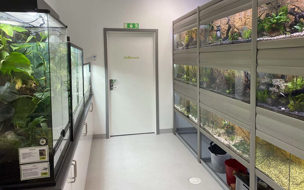 Realgymnasiet Sundsvall lokaler