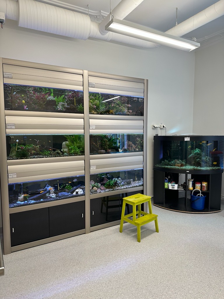 Akvarierum