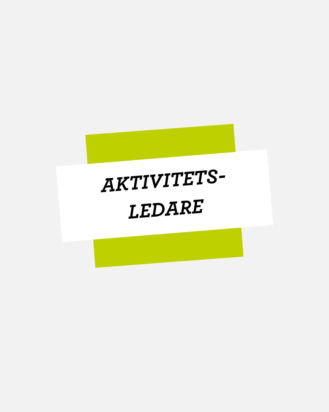 AKTIVITETSLEDARE