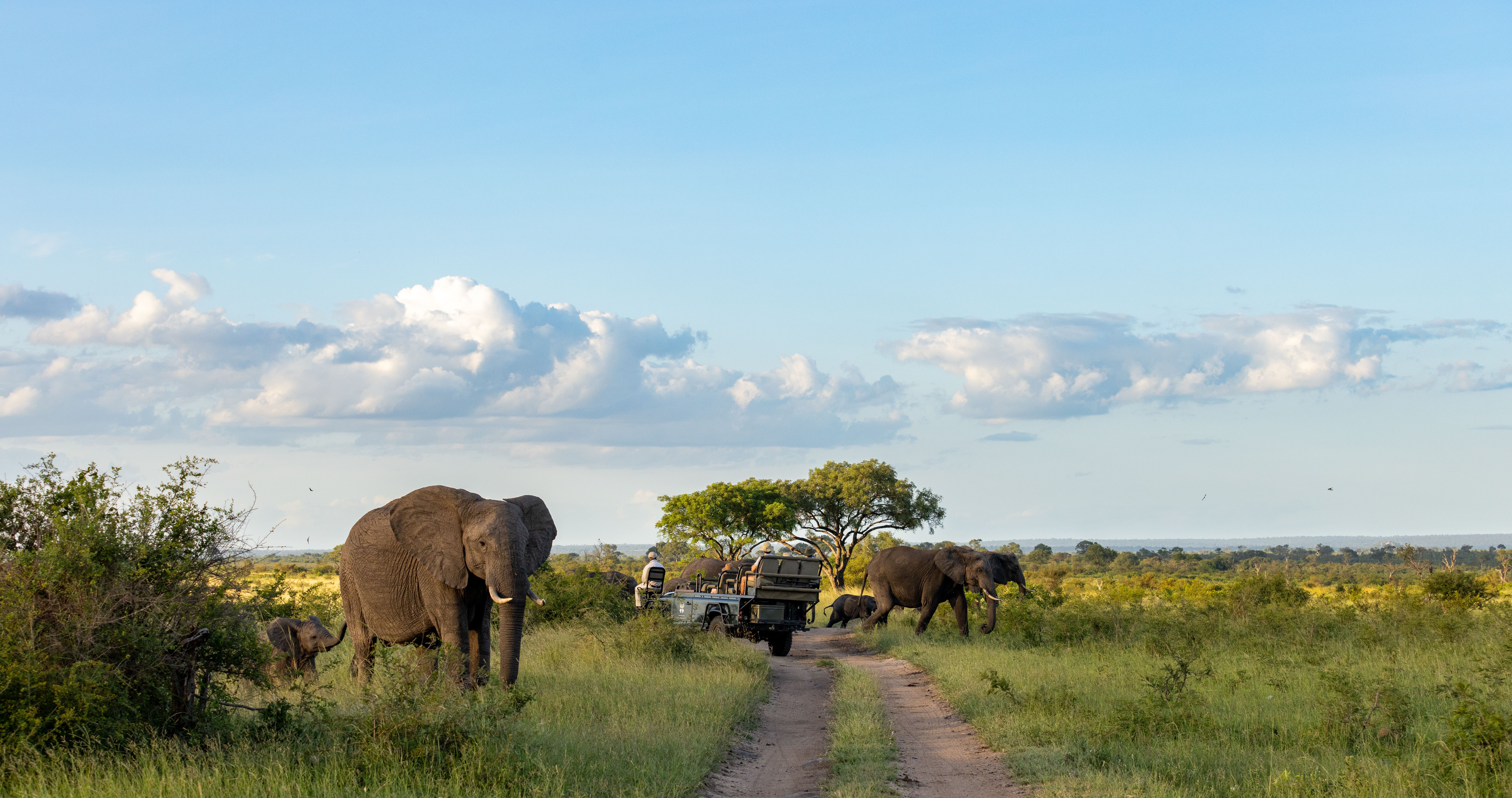 Två elever sitter på marken och håller om varandras axlar, framför dem står två elefanter inhägnade.