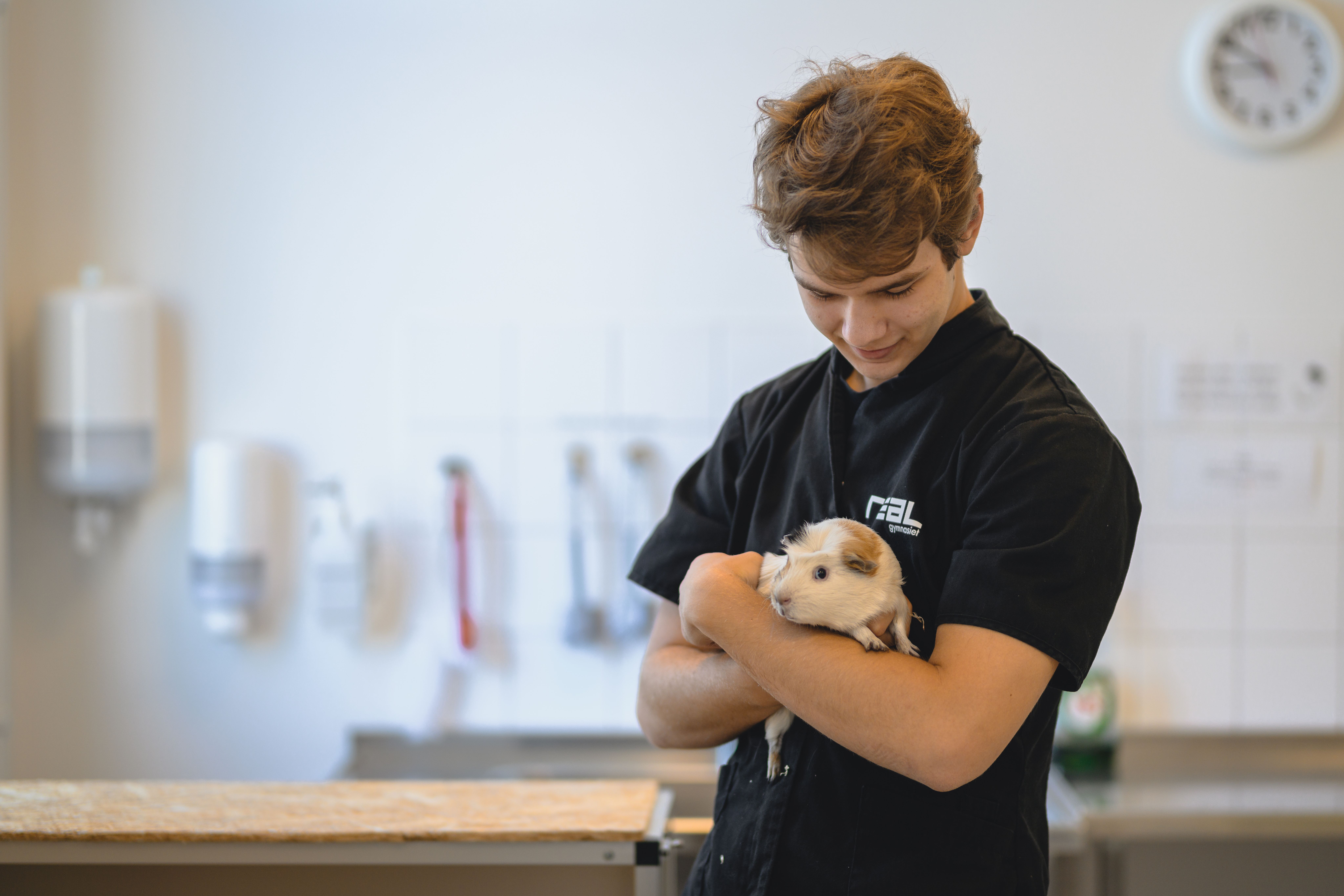 elev med ett marsvin