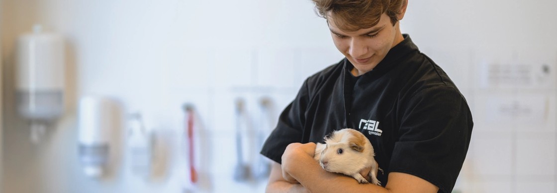 elev med ett marsvin