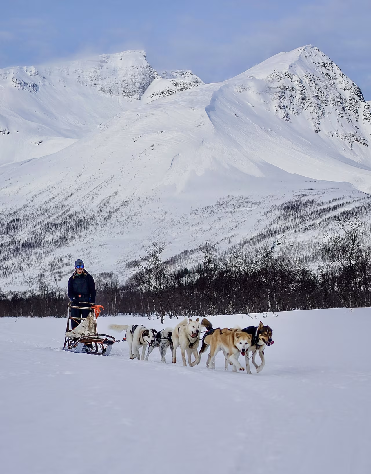 sofia alumn bland bergen och åker hundsläde