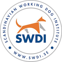SWDI logo