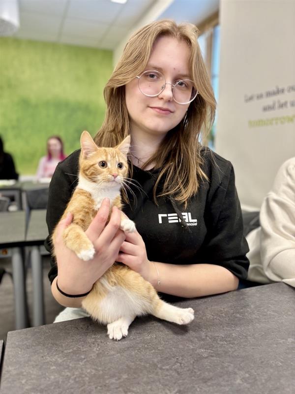 Skolelev håller i orange katt
