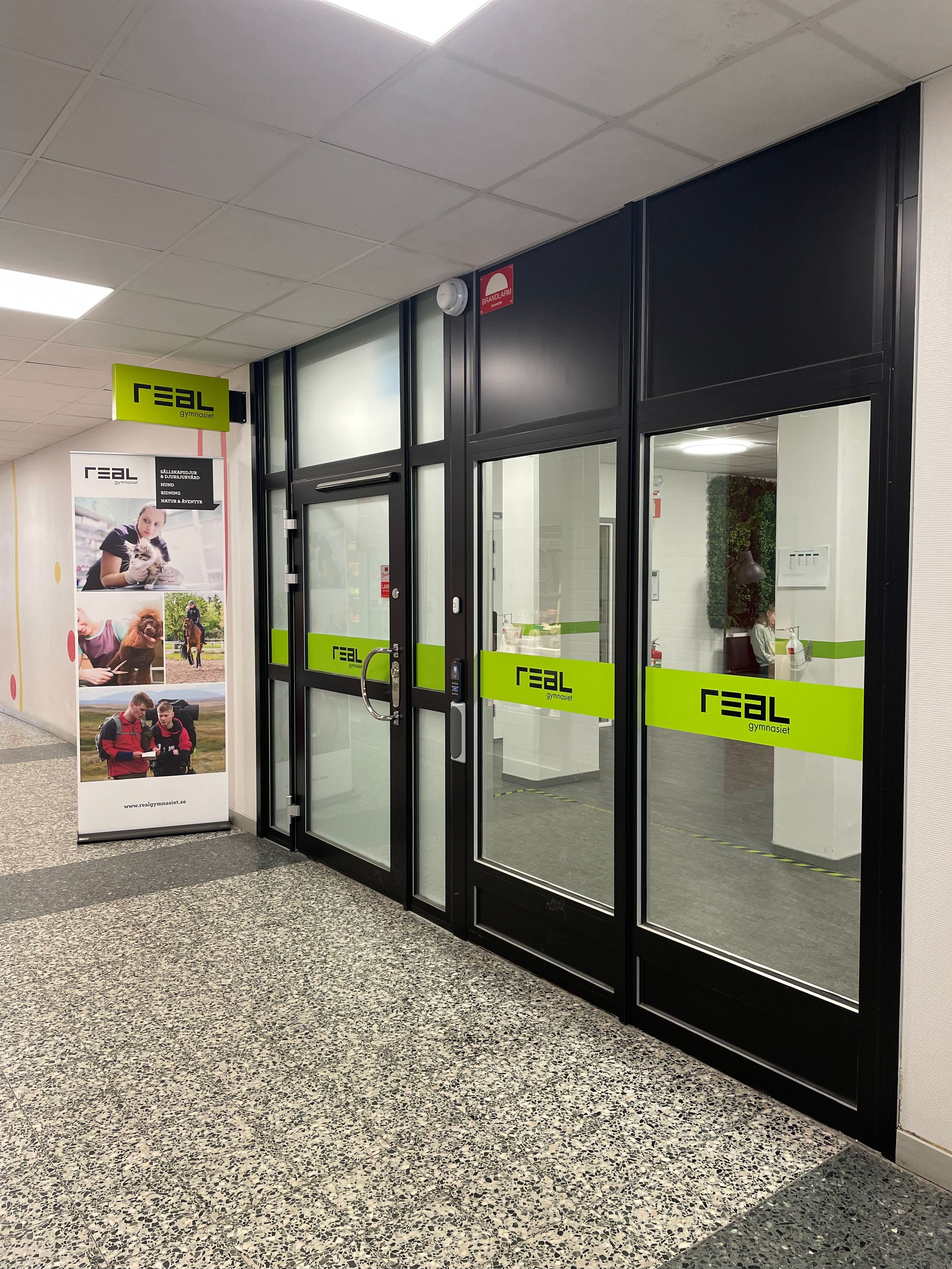 Entrén till Realgymnasiet Borlänge.