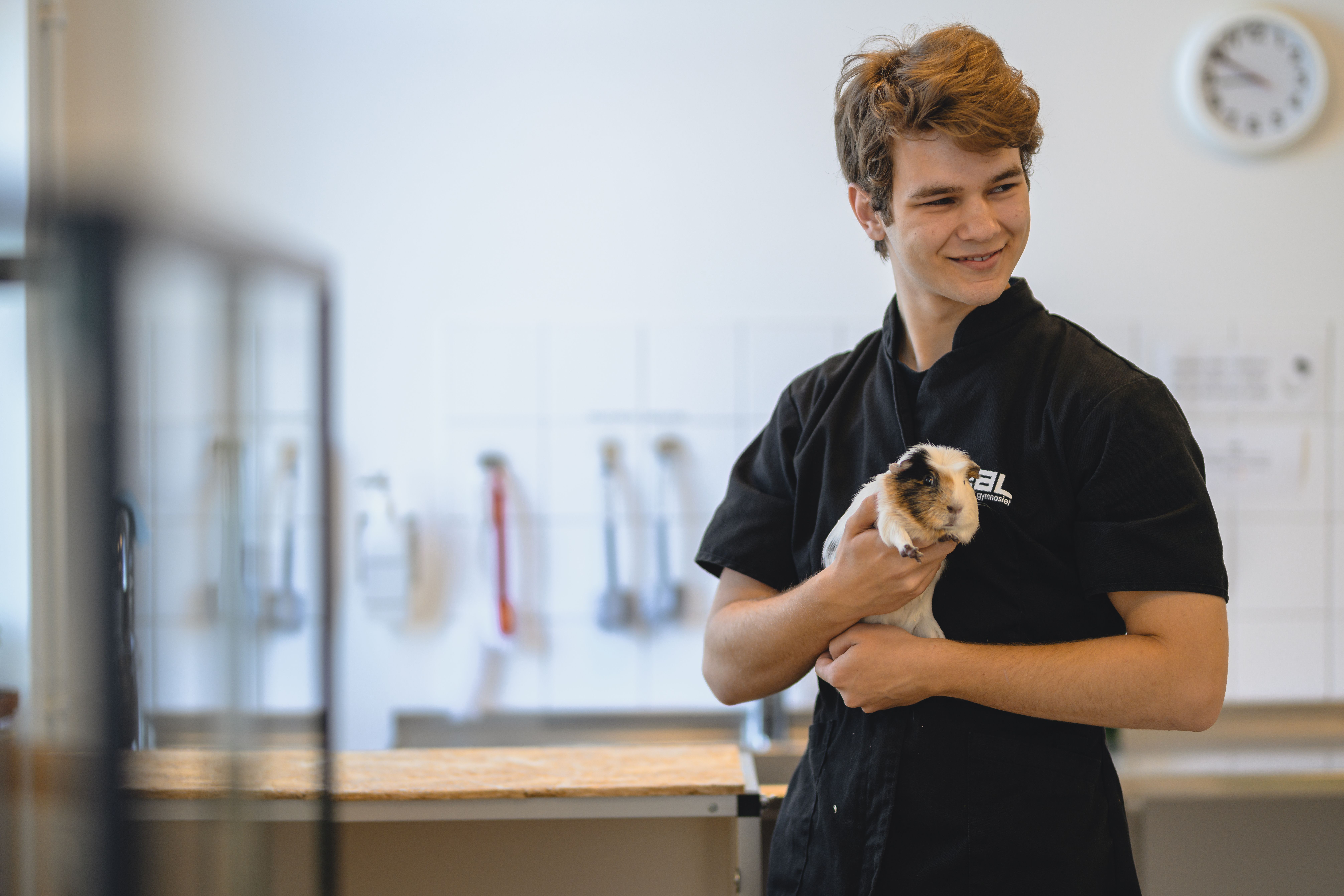 elev håller i ett marsvin