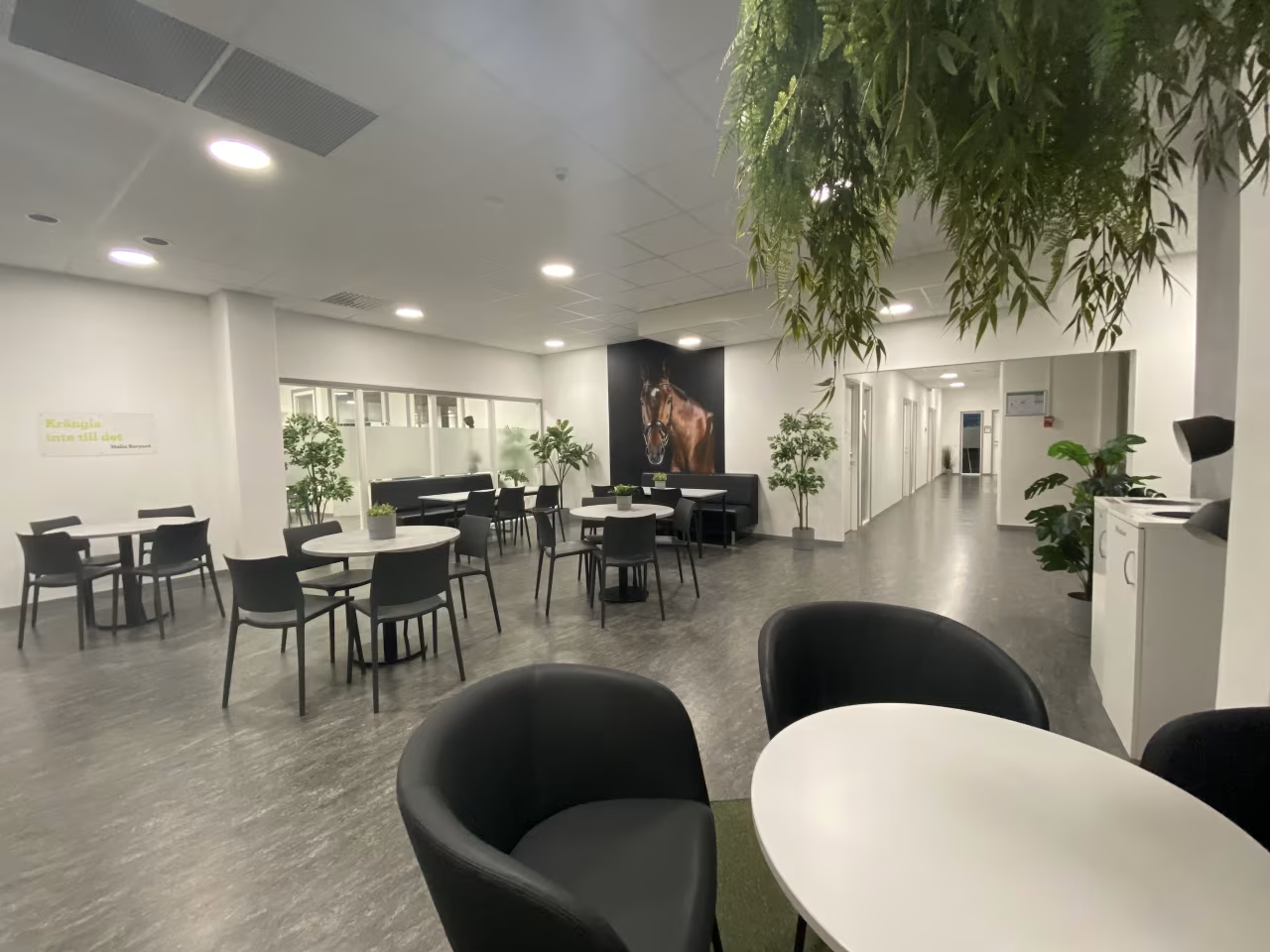 Realgymnasiet Sundsvall lokaler