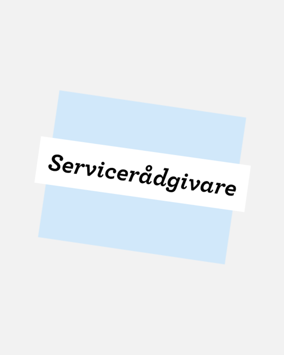 servicerådgivare