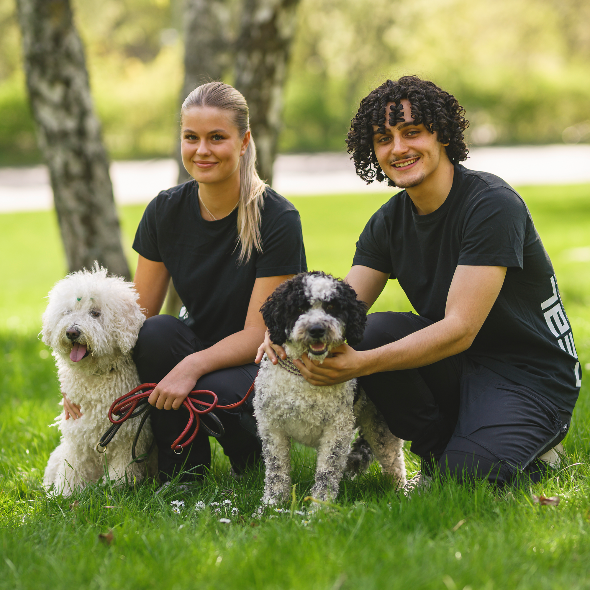 Djurvård - Sällskapsdjur