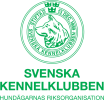 skk logo