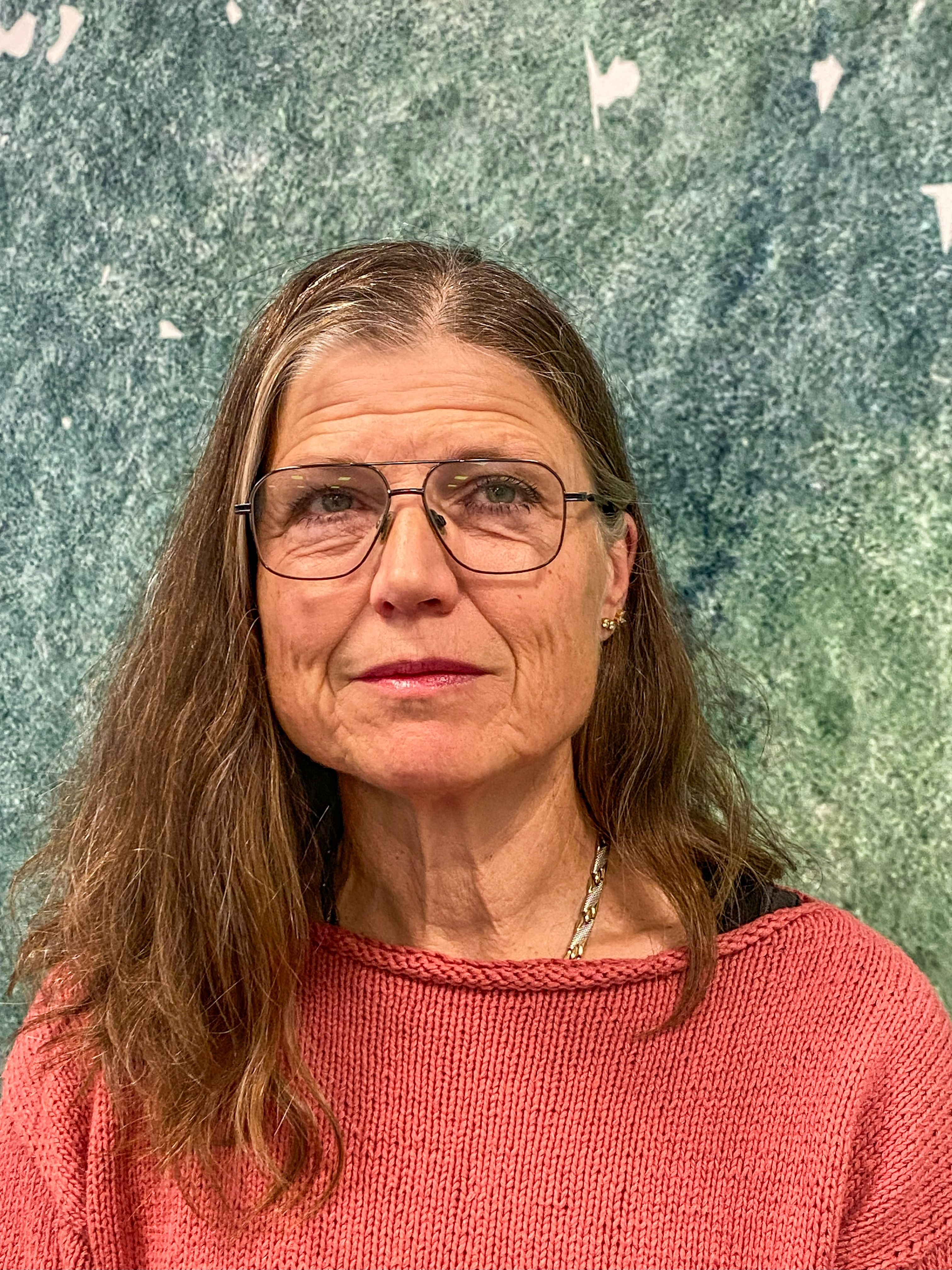 Anneli Åberg, Realgymnasiet