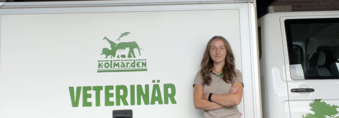 Linn Andbjer veterinärassistent