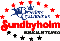 Sunbyholm trav logo