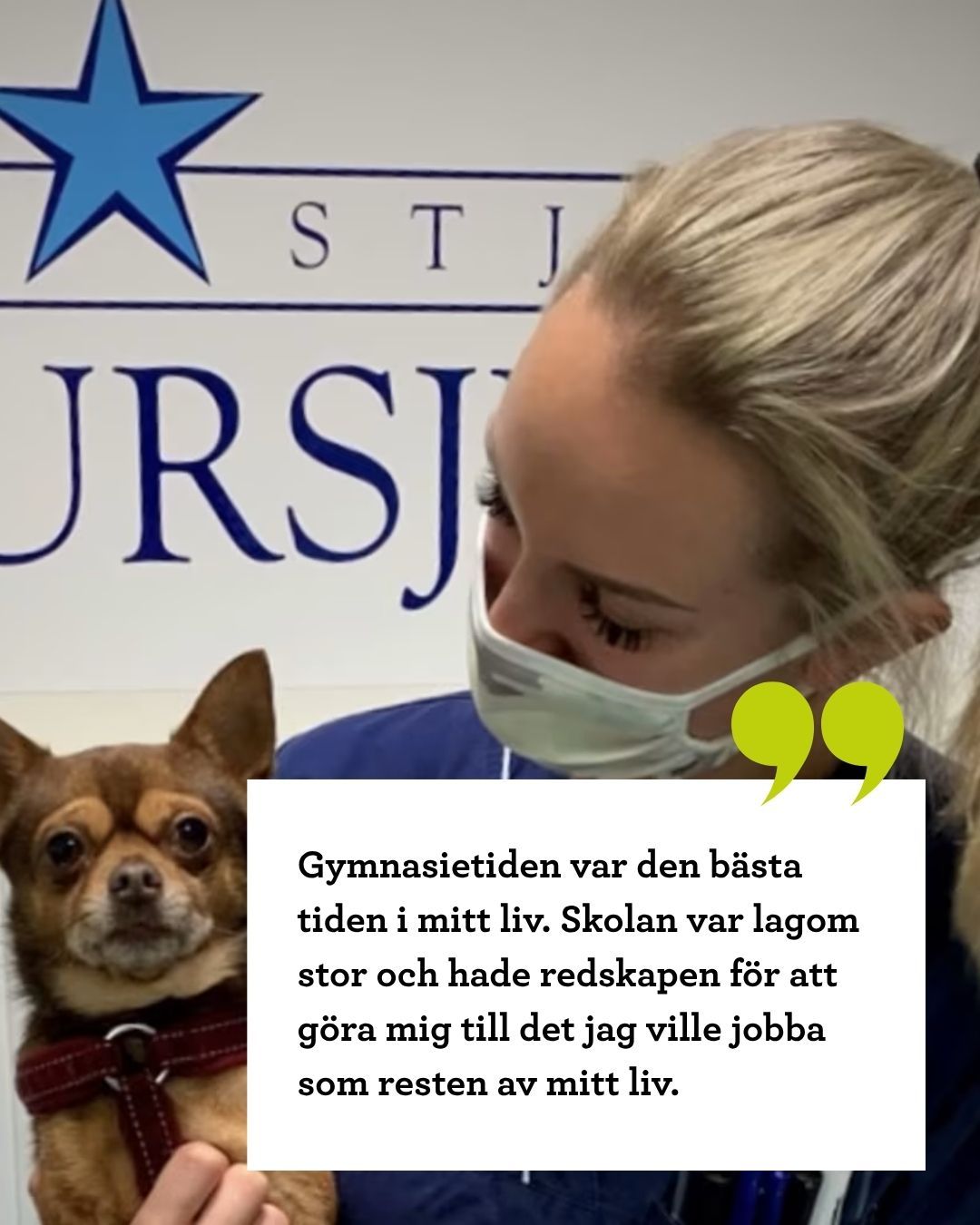 Elin Gilborne med hund