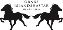 Örnäs Islandshästar logo