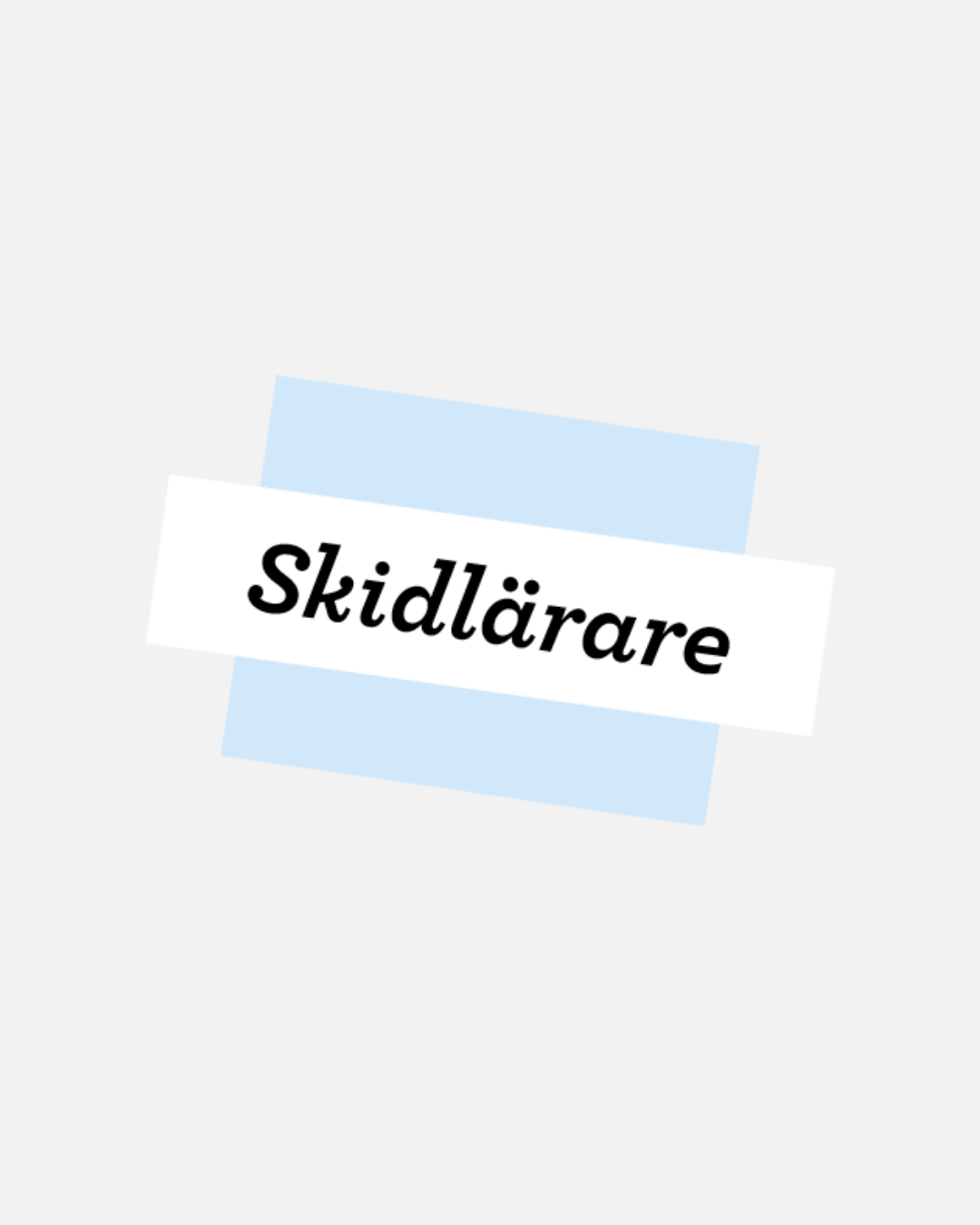 AKTIVITETSLEDARE