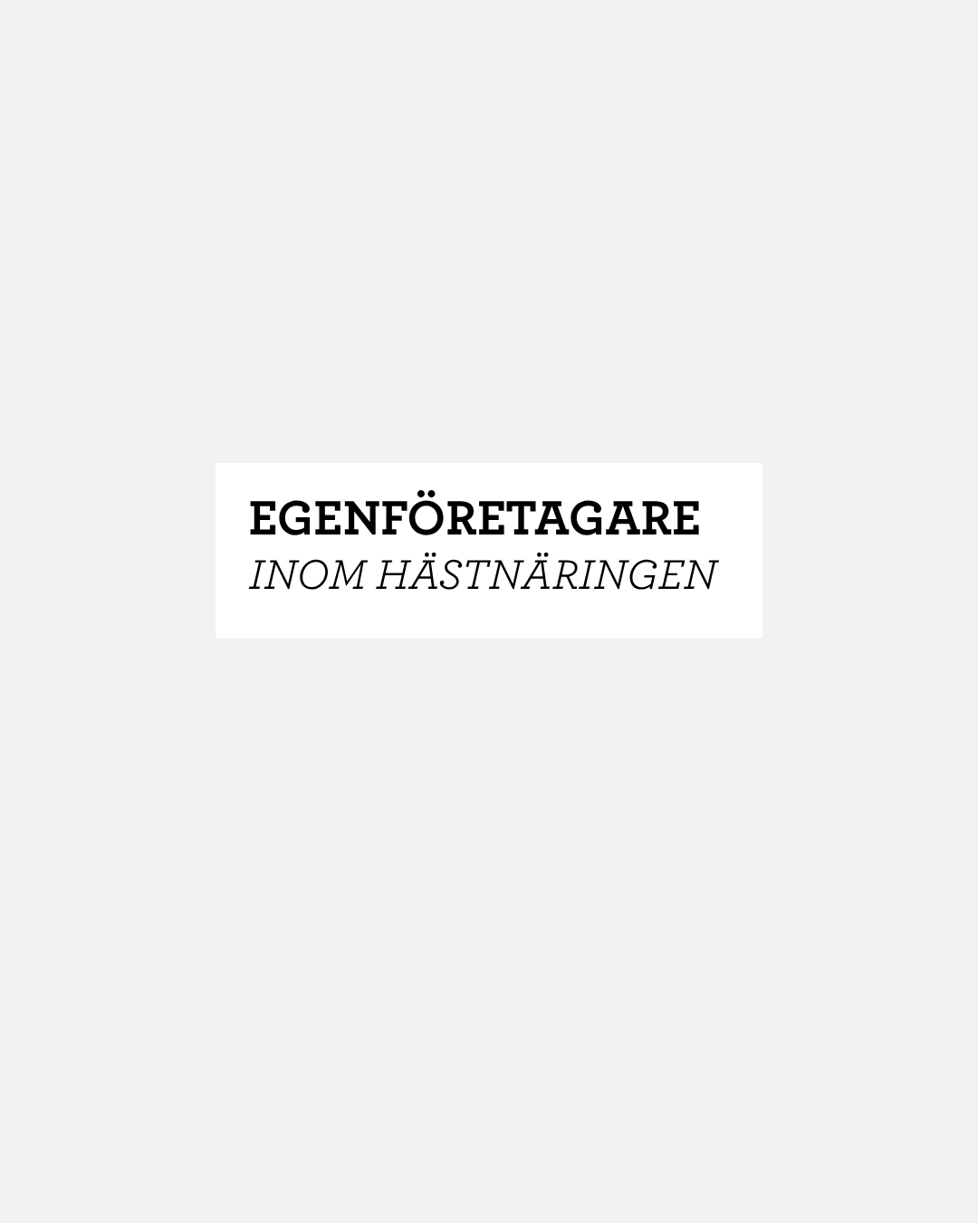 egenföretagare