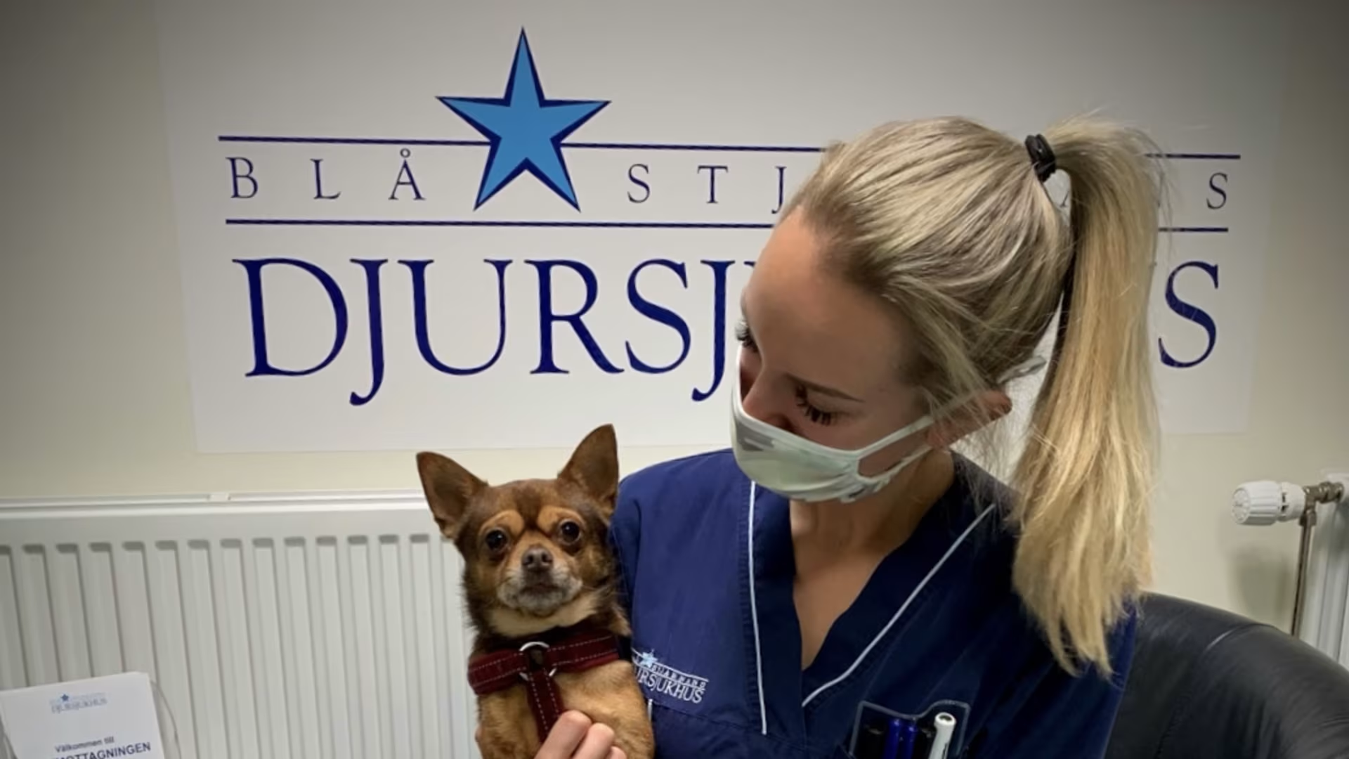 Elin Gilborne med hund