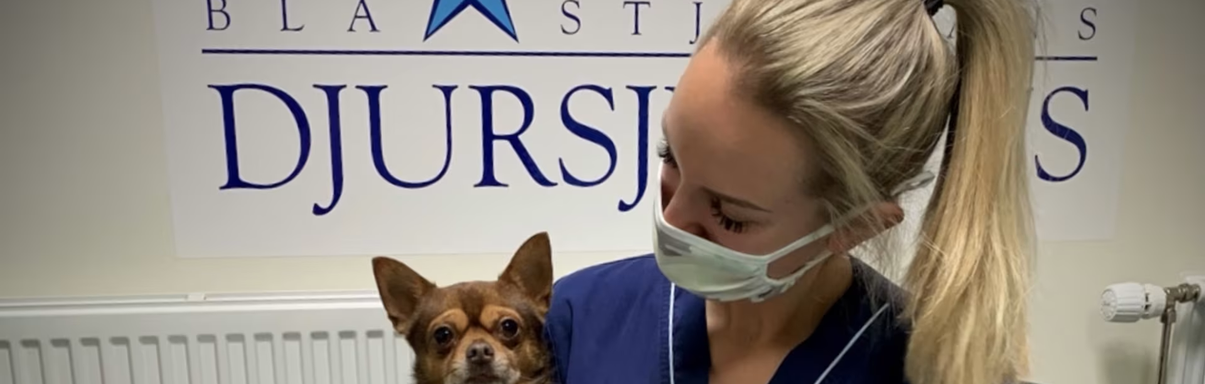 Elin Gilborne med hund