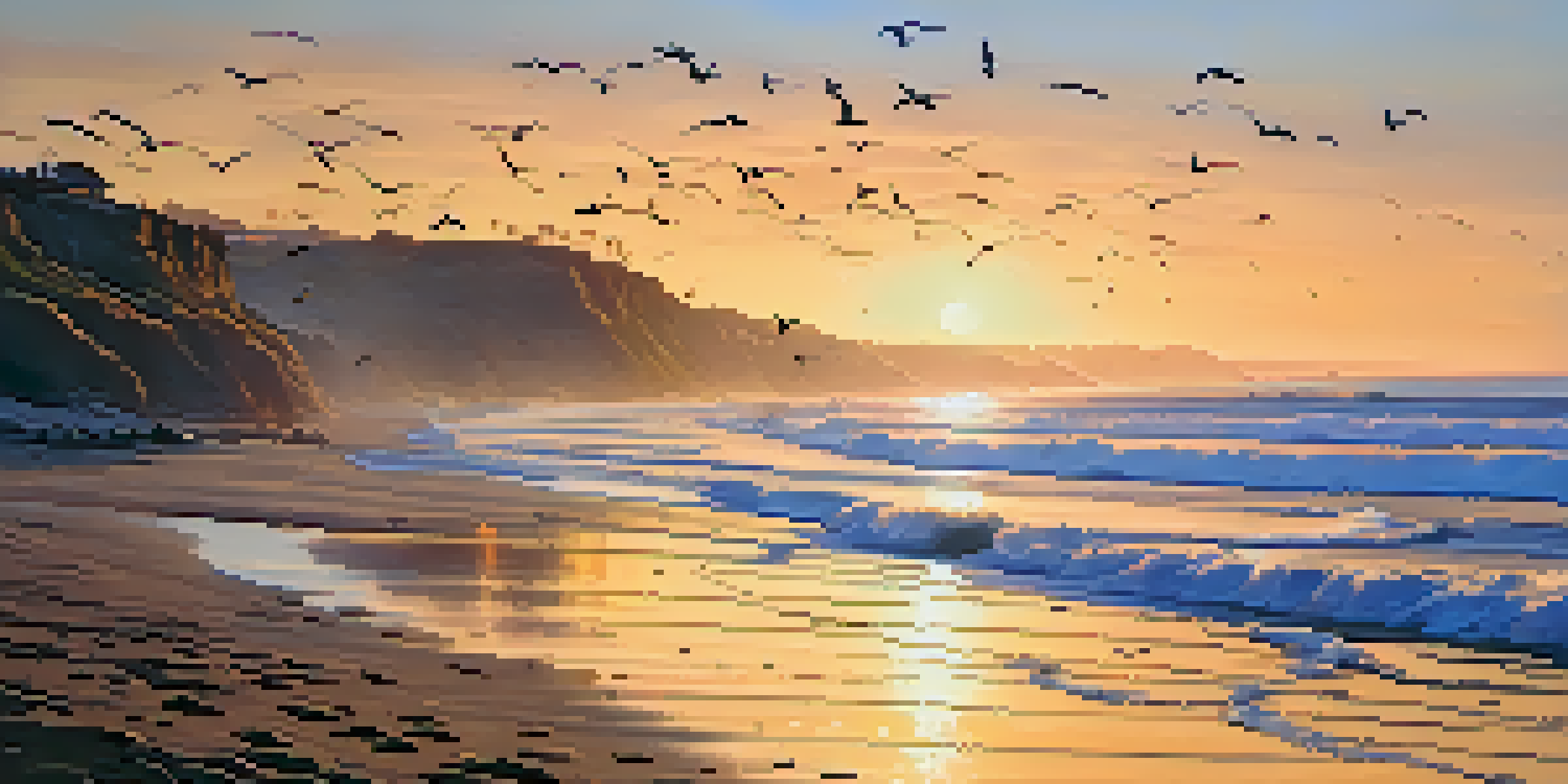 A picturesque sunset at South Carlsbad State Beach, with cliffs, gentle waves, and flying seagulls.