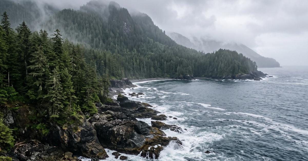A remote, untouched coastline shrouded in mist with no visible human presence.