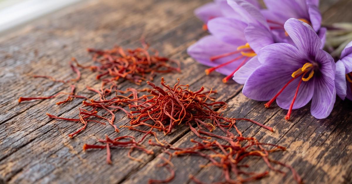 Dried red saffron threads scattered near fresh purple crocus flowers.