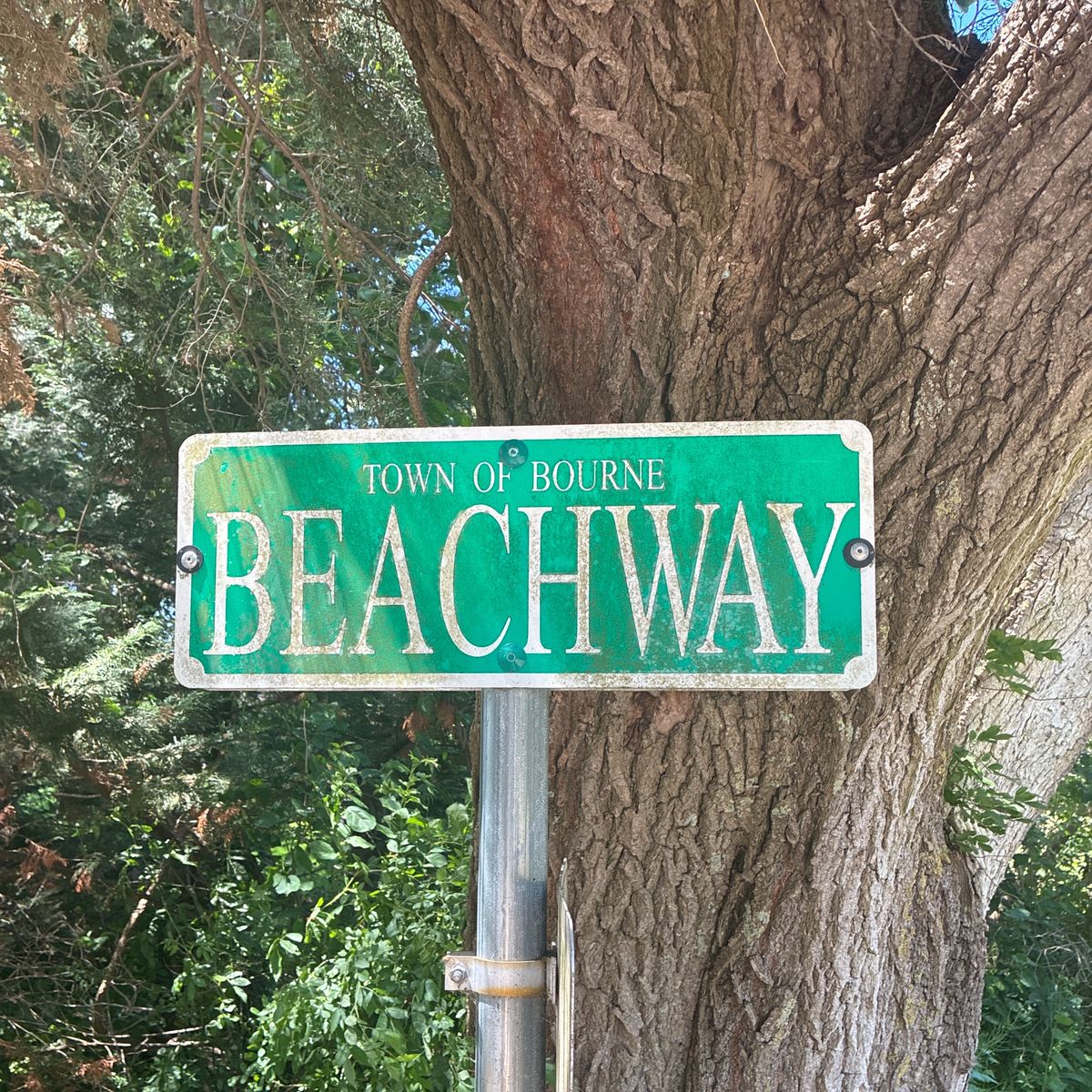Beach — artwork