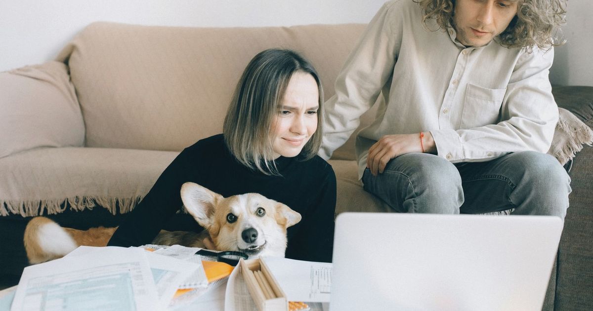 A couple looking at a laptop while sitting on a couch with their pet Corgi amidst paperwork indoors.