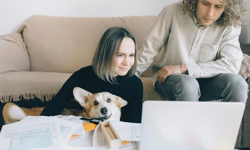 A couple looking at a laptop while sitting on a couch with their pet Corgi amidst paperwork indoors.