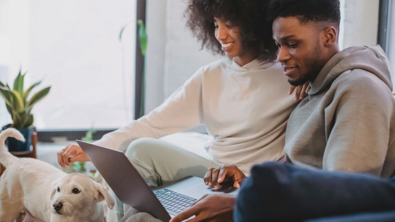 Positive African American female looking at calm dog and leaning on shoulder of black man browsing laptop at home in daytime
