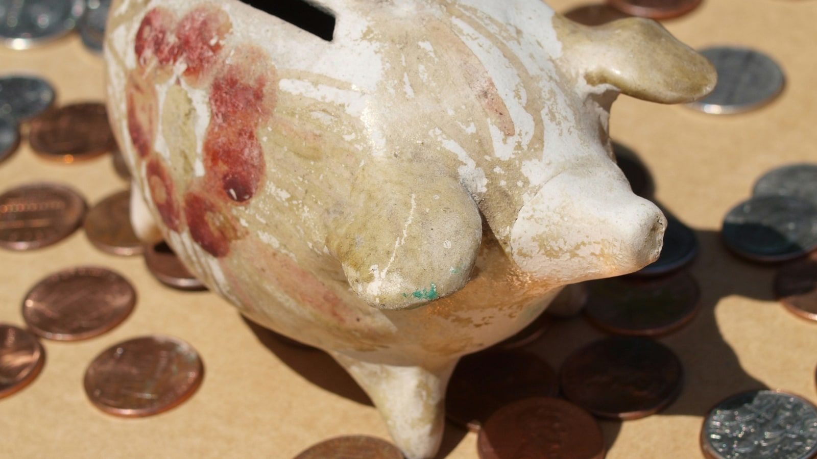 Neptune vs LawDepot: Features, Pricing, Pros and Cons