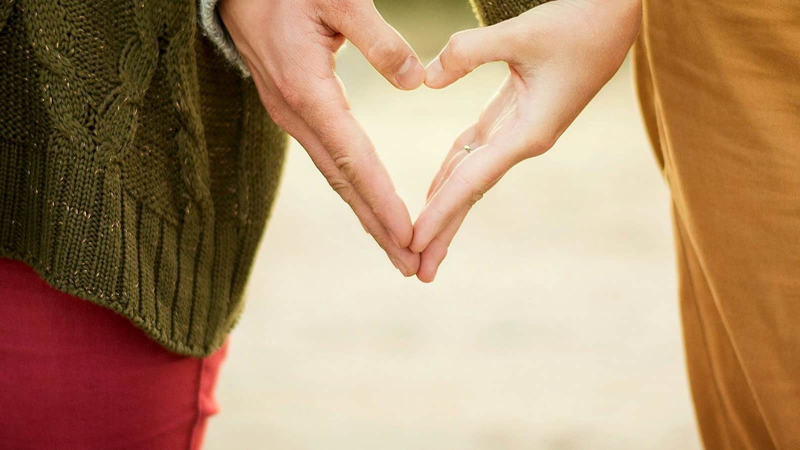 Neptune vs LegalZoom: Features, Pricing, Pros and Cons